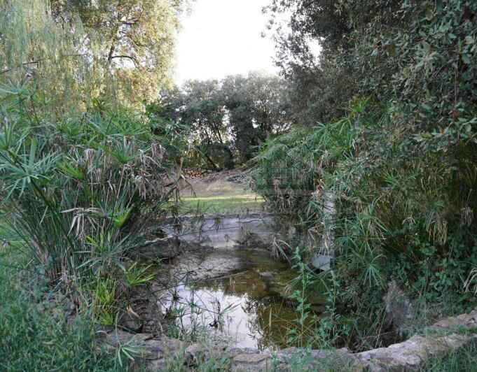 3031 - Típica masía catalana en venta,  totalmente restaurada, situada en Llagostera comarca de La Selva, Girona.