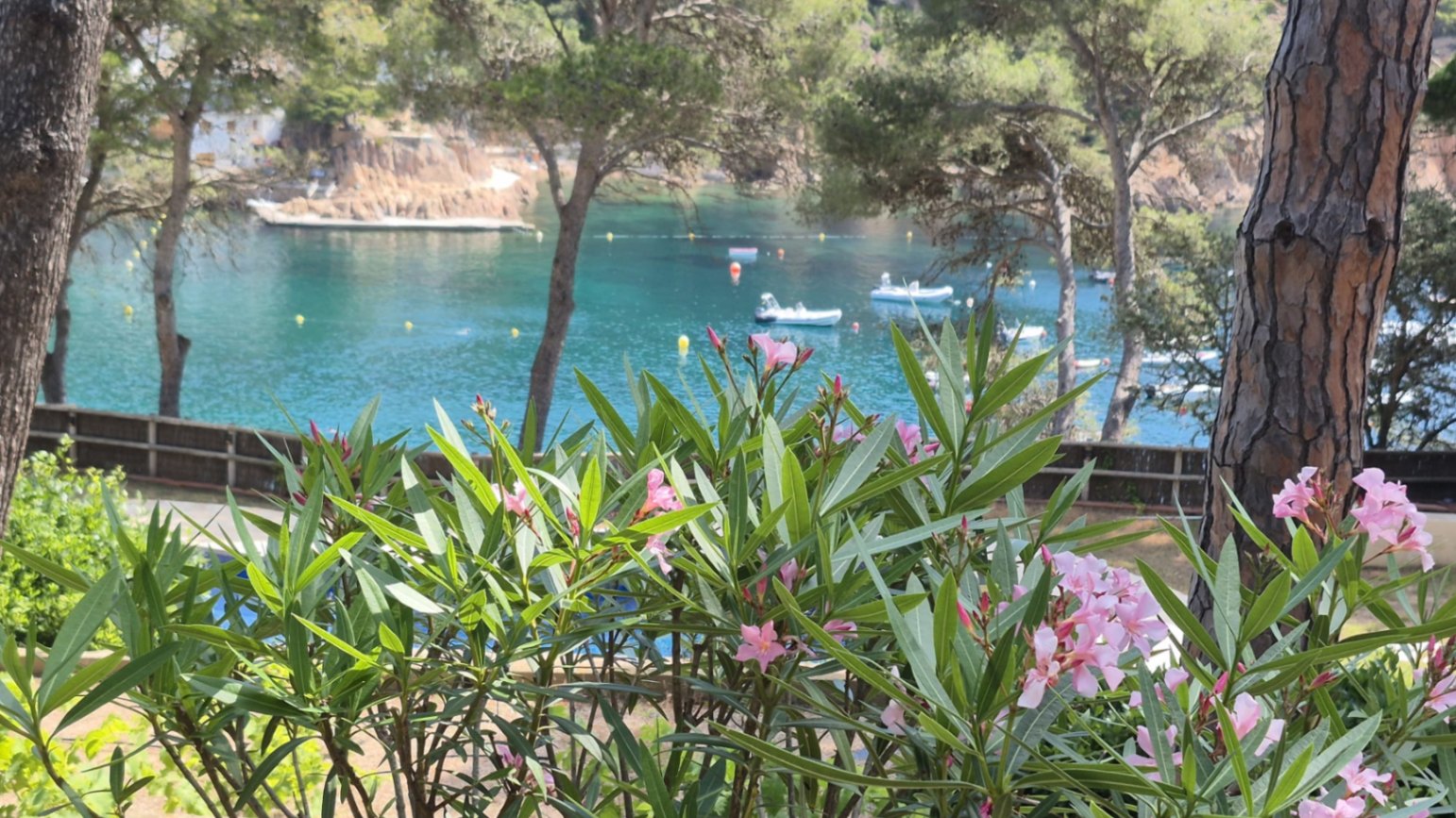 EN VENTA Joya Histórica Frente al Mar: Finca Exclusiva en la Bahía de Tamariu