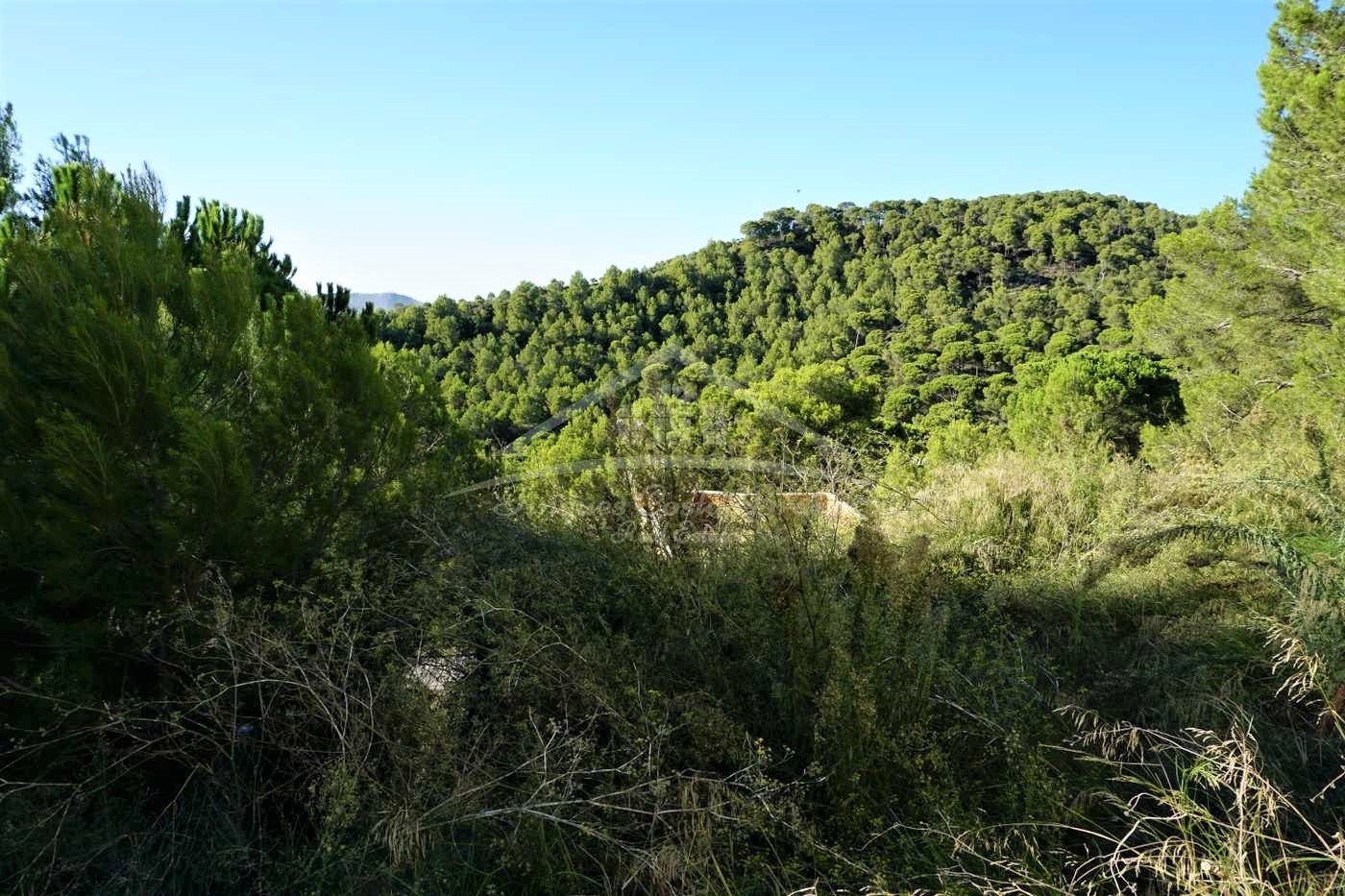 Huis te koop aan gloednieuw in begur met tuin en zwembad
